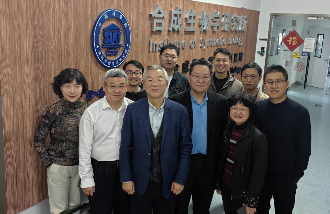 《合成免疫学》专著编委会第五次会议在深圳成功举行