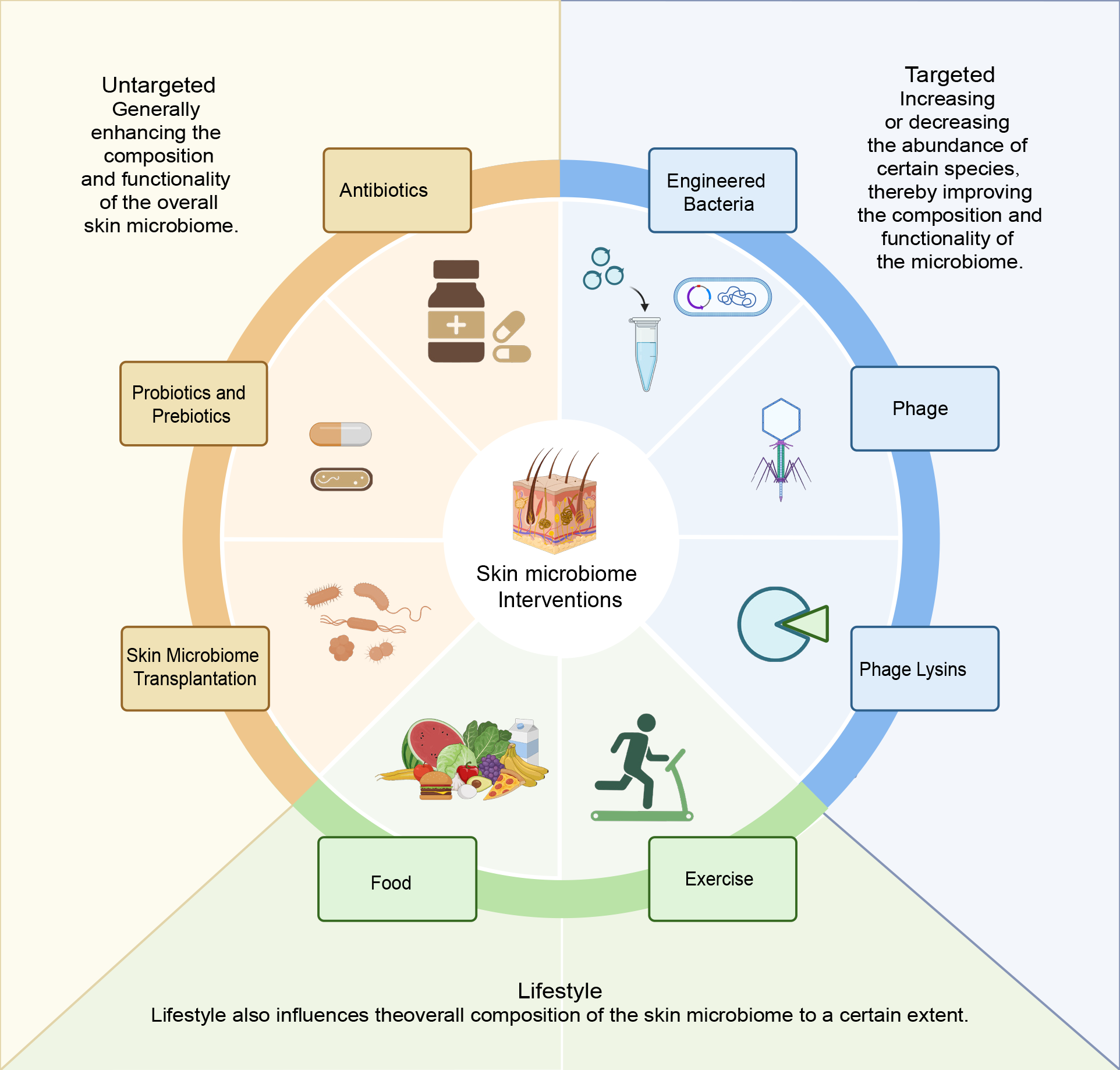 iMetaOmics | 中国科学院深圳先进院戴磊组综述：皮肤微生物组工程